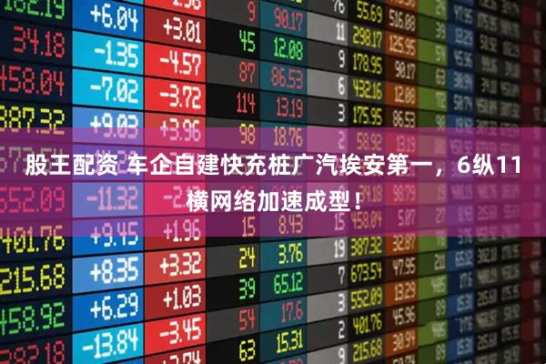 股王配资 车企自建快充桩广汽埃安第一，6纵11横网络加速成型！