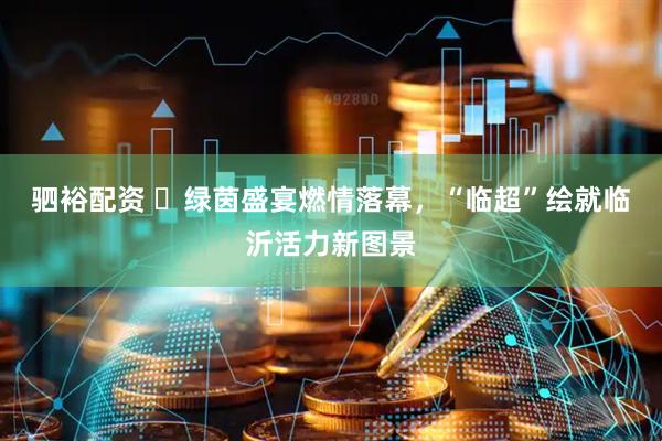 驷裕配资 ‌绿茵盛宴燃情落幕，“临超”绘就临沂活力新图景