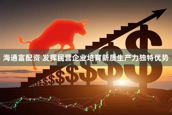 海通富配资 发挥民营企业培育新质生产力独特优势