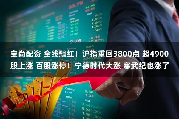 宝尚配资 全线飘红！沪指重回3800点 超4900股上涨 百股涨停！宁德时代大涨 寒武纪也涨了