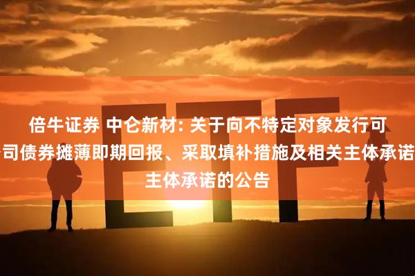 倍牛证券 中仑新材: 关于向不特定对象发行可转换公司债券摊薄即期回报、采取填补措施及相关主体承诺的公告
