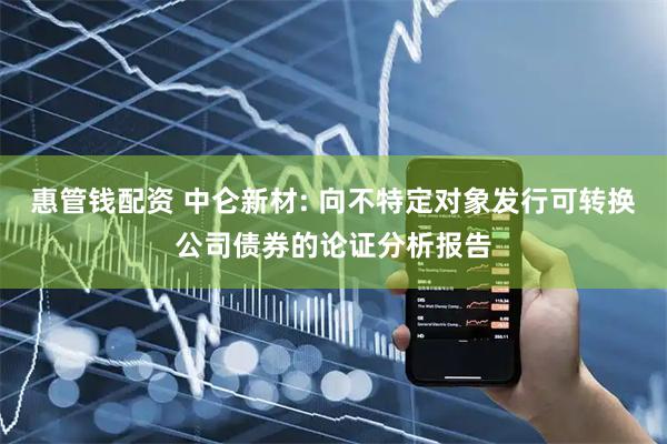 惠管钱配资 中仑新材: 向不特定对象发行可转换公司债券的论证分析报告